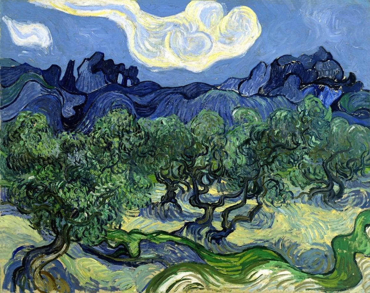 The Olive Trees Painting Vincent Van Gogh Canvas Art Fine Art Print