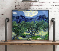 The Olive Trees Painting Vincent Van Gogh Canvas Art Fine Art Print