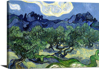 The Olive Trees Painting Vincent Van Gogh Canvas Art Fine Art Print