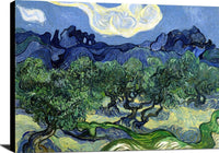 The Olive Trees Painting Vincent Van Gogh Canvas Art Fine Art Print