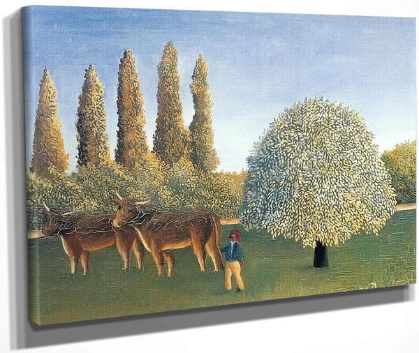 The Pasture 1910 By Henri Rousseau Fine Art Print
