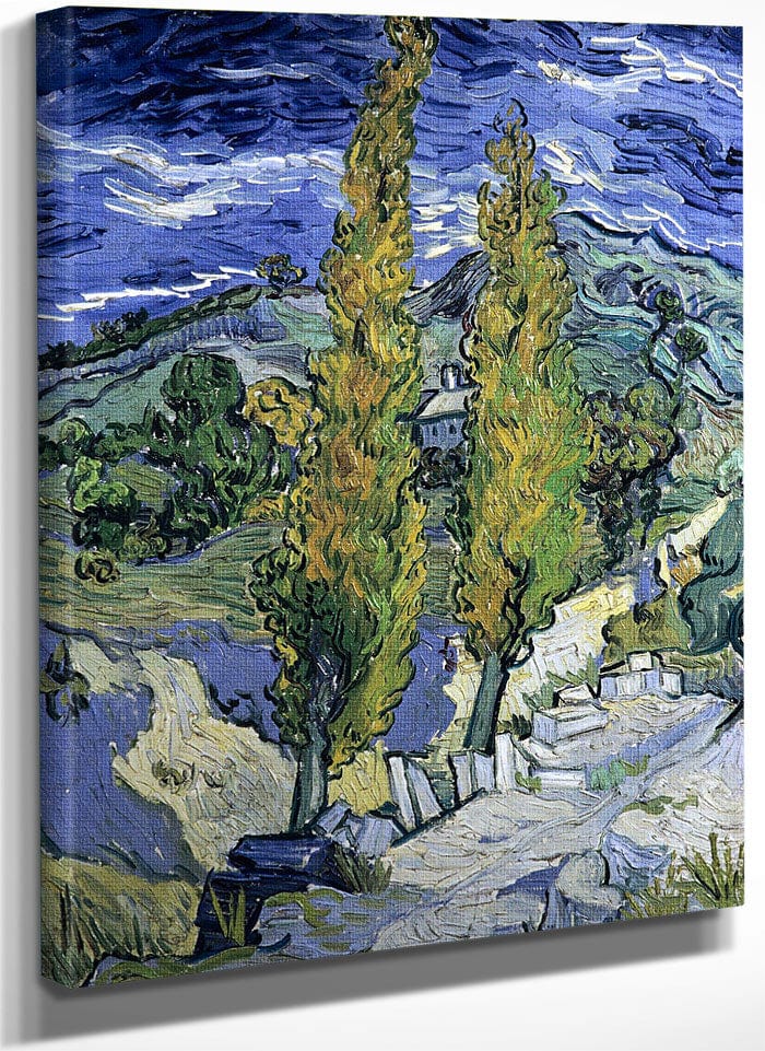 The Poplars At Saint Remy By Vincent Van Gogh Fine Art Print