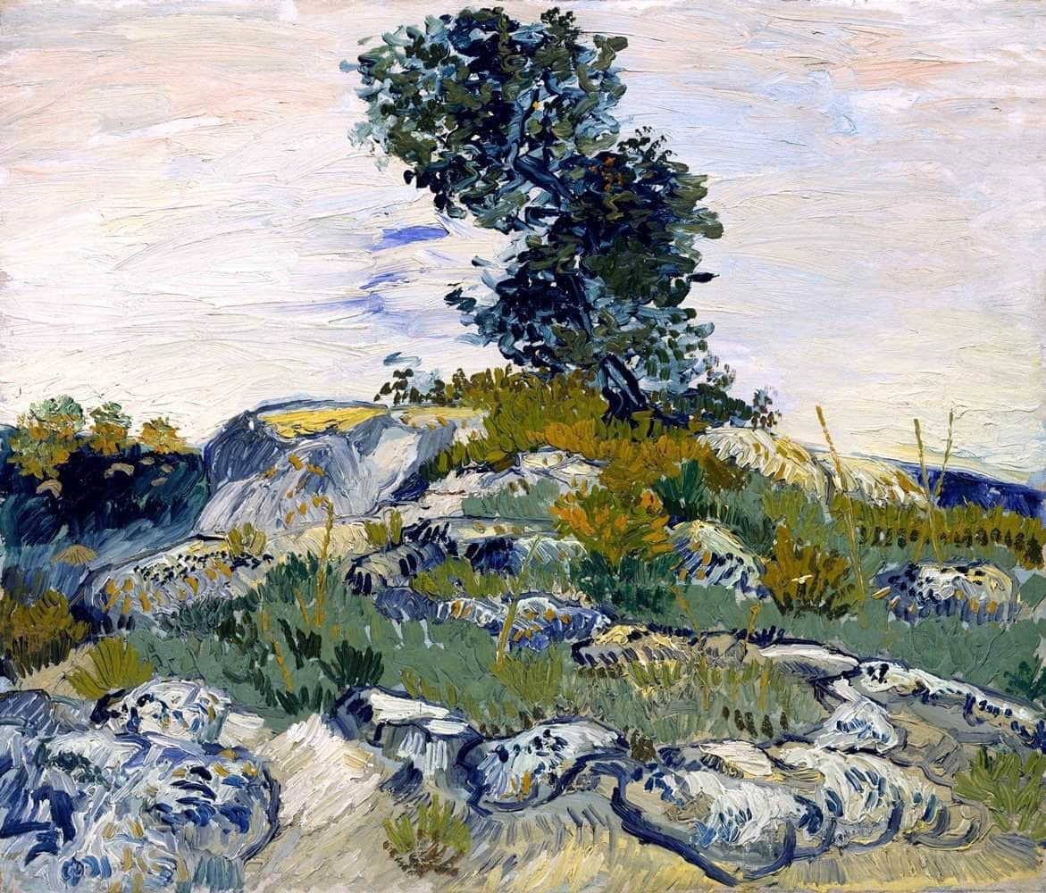 The Rocks Painting Vincent Van Gogh Canvas Art Fine Art Print