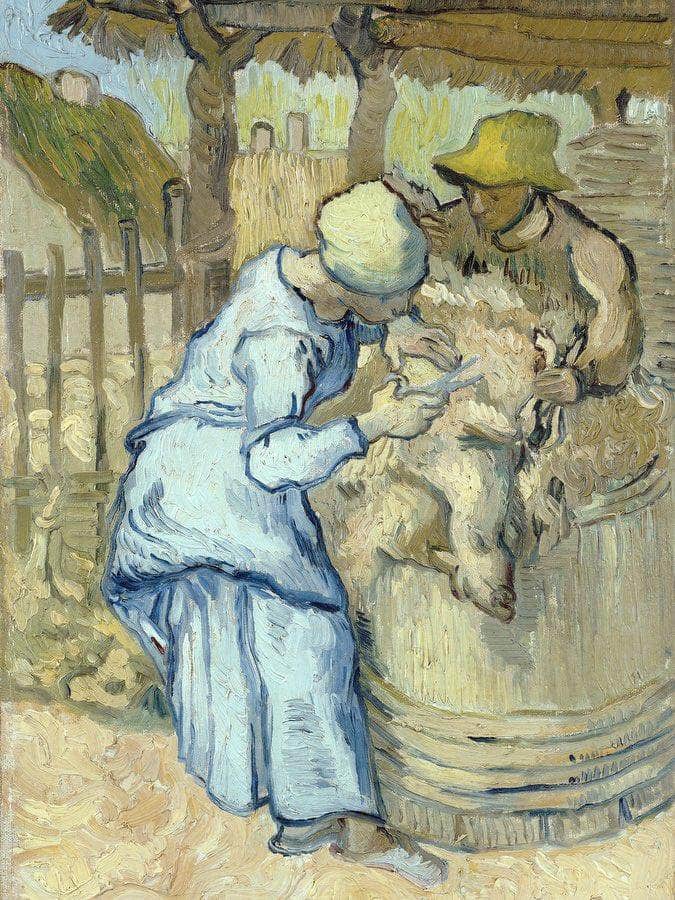 The Sheep Shearer (After Millet) By Vincent Van Gogh Fine Art Print