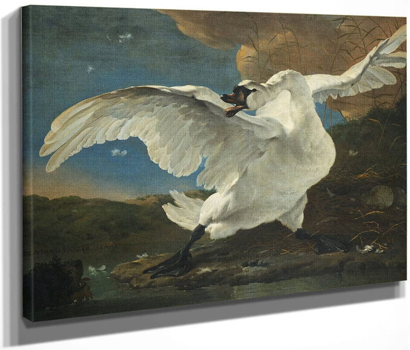 The Threatened Swan By Jan Asselyn Fine Art Print