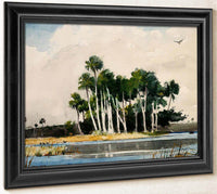 The Turkey Buzzard By Winslow Homer Fine Art Print