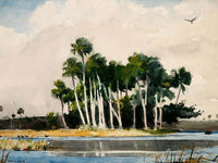 The Turkey Buzzard By Winslow Homer Fine Art Print