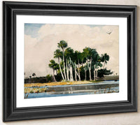 The Turkey Buzzard By Winslow Homer Fine Art Print