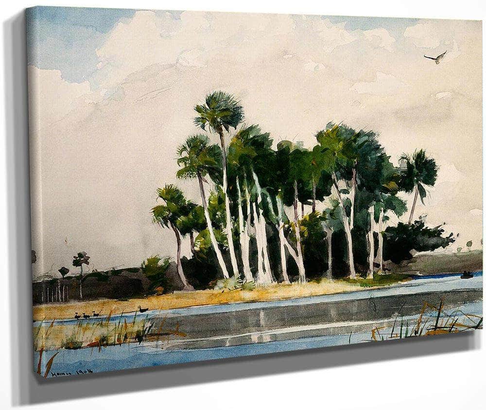 The Turkey Buzzard By Winslow Homer Fine Art Print