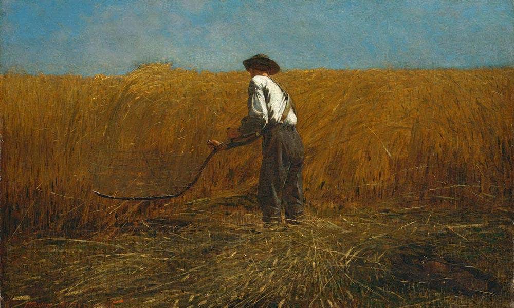 The Veteran In The Field By Winslow Homer Fine Art Print