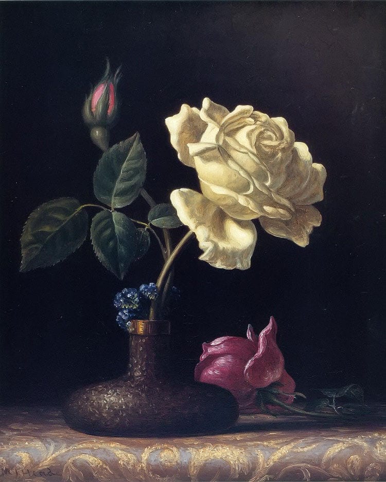 The White Rose By Martin Johnson Heade Fine Art Print