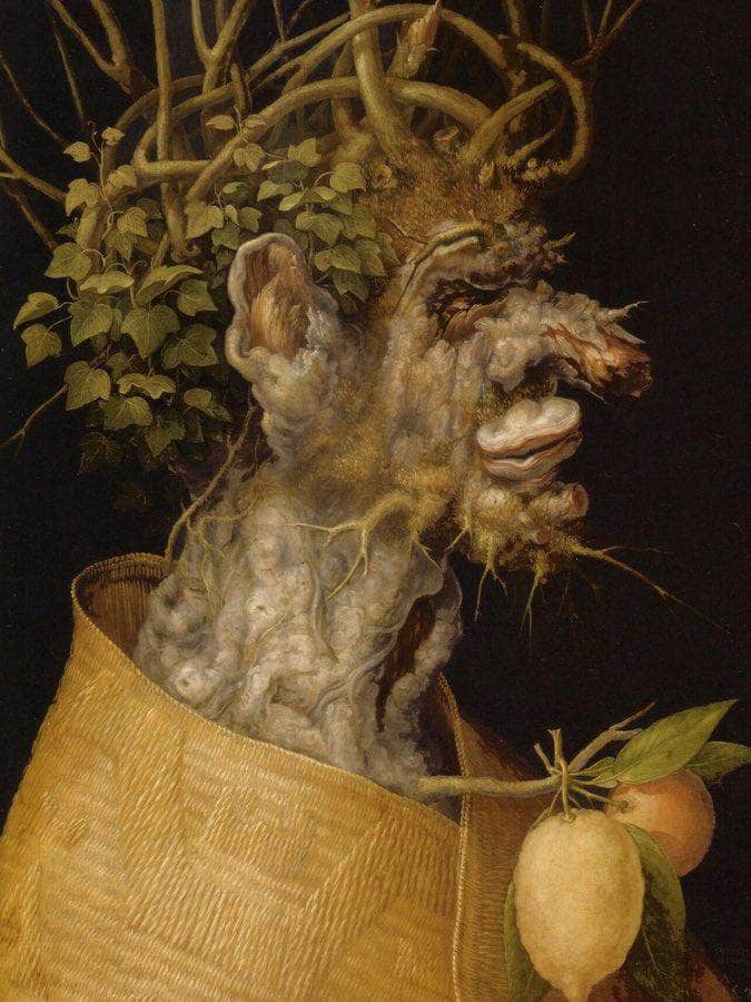 The Winter 1563 By Giuseppe Arcimboldo Fine Art Print