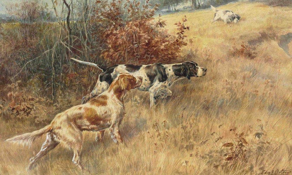 Three Pointers In A Field 2 By Edmund Henry Osthaus Fine Art Print