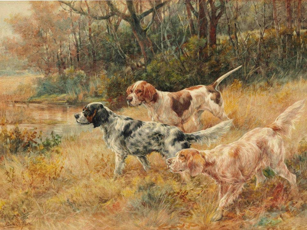 Three Pointers In A Field By Edmund Henry Osthaus Fine Art Print