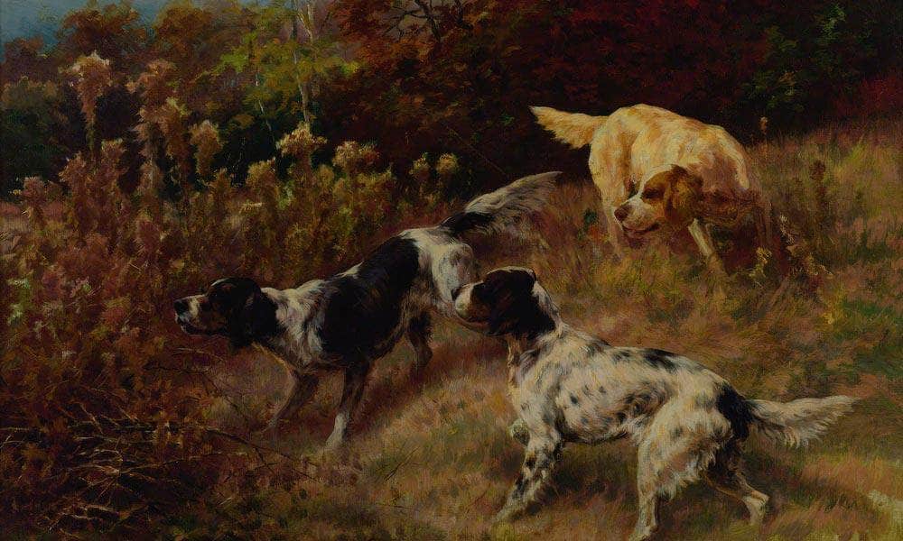 Three Setters On The Hunt By Edmund Henry Osthaus Fine Art Print