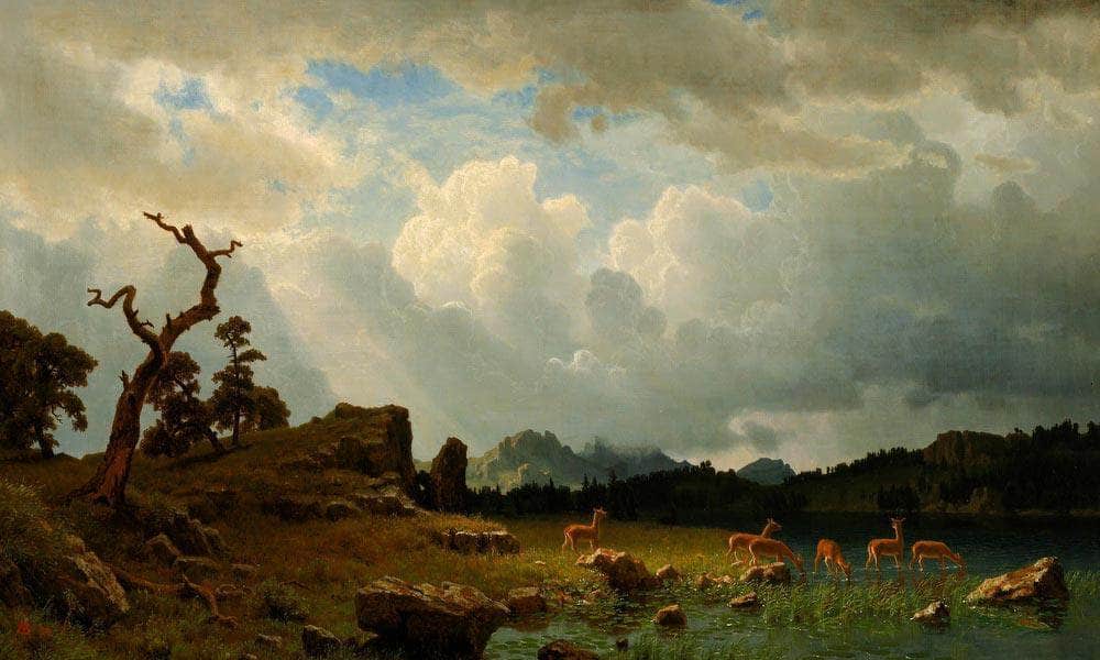 Thunderstorm In The Rocky Mountains By Albert Bierstadt Fine Art Print