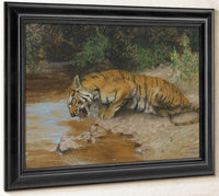 Tiger Drinking By Arthur Wardle Fine Art Print