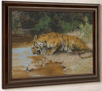 Tiger Drinking By Arthur Wardle Fine Art Print