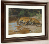 Tiger Drinking By Arthur Wardle Fine Art Print