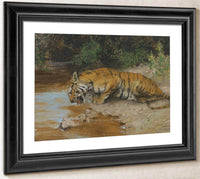 Tiger Drinking By Arthur Wardle Fine Art Print
