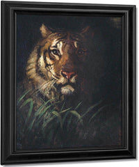 Tiger's Head By Abbott Handerson Thayer Fine Art Print