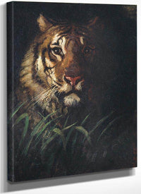 Tiger's Head By Abbott Handerson Thayer Fine Art Print