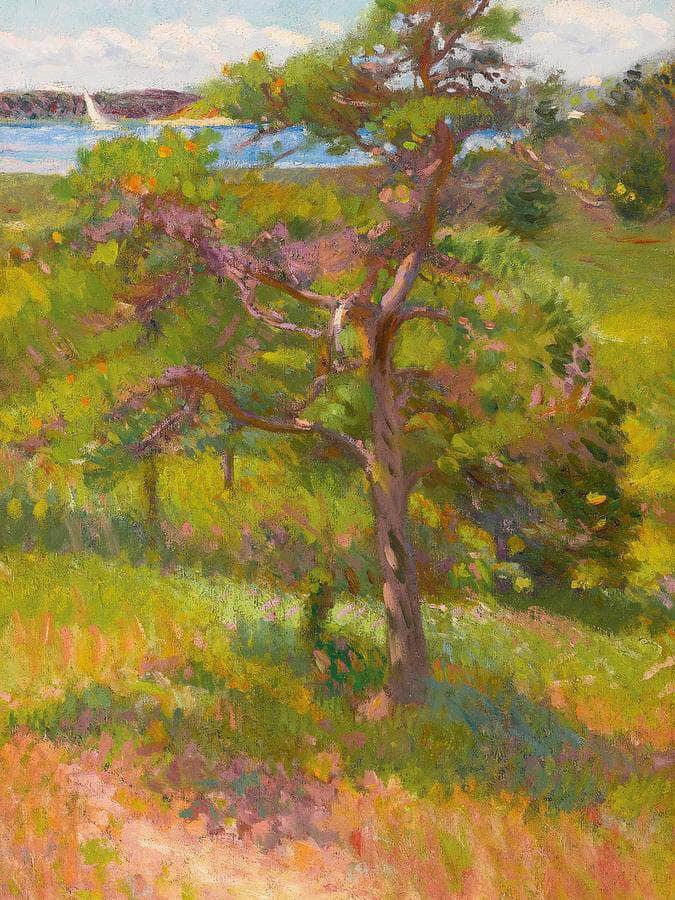Tree By An Inlet, Cape Cod By William Mcgregor Paxton Fine Art Print