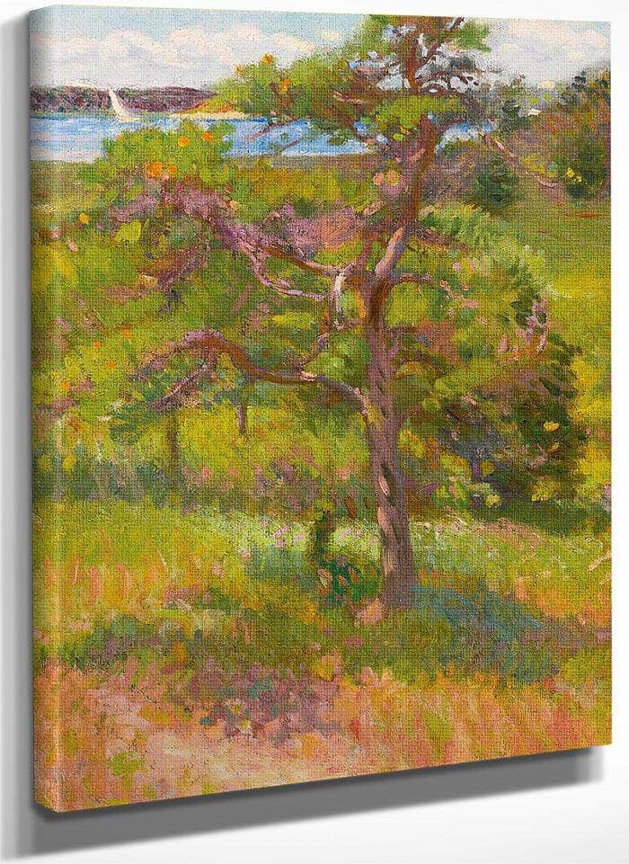 Tree By An Inlet, Cape Cod By William Mcgregor Paxton Fine Art Print