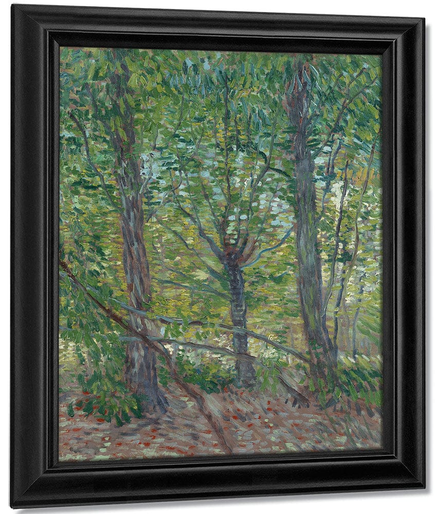Trees  2 By Vincent Van Gogh Fine Art Print