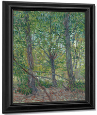 Trees  2 By Vincent Van Gogh Fine Art Print