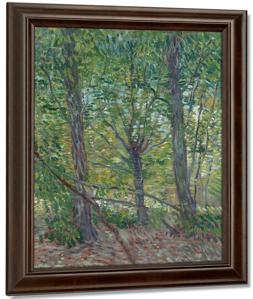 Trees  2 By Vincent Van Gogh Fine Art Print