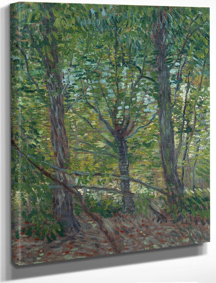 Trees  2 By Vincent Van Gogh Fine Art Print