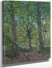 Trees  2 By Vincent Van Gogh Fine Art Print