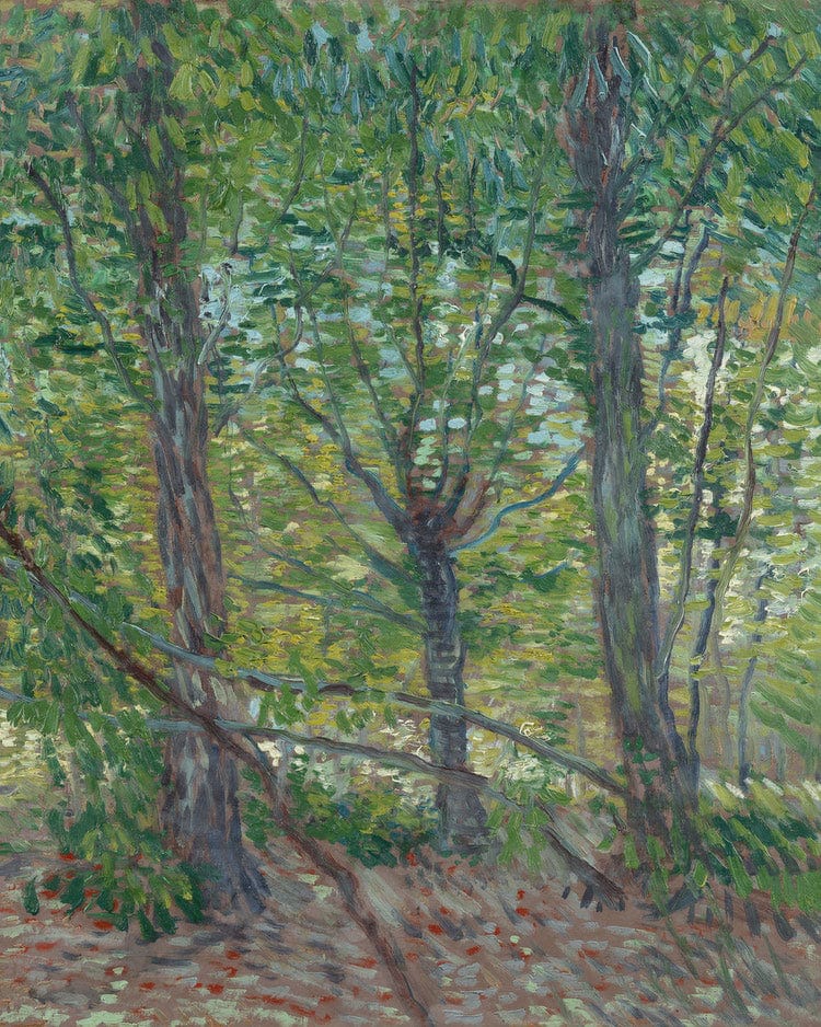 Trees  2 By Vincent Van Gogh Fine Art Print