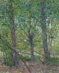 Trees  2 By Vincent Van Gogh Fine Art Print