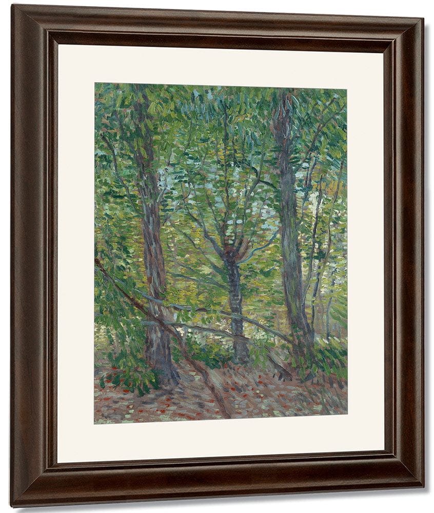 Trees  2 By Vincent Van Gogh Fine Art Print