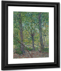 Trees  2 By Vincent Van Gogh Fine Art Print