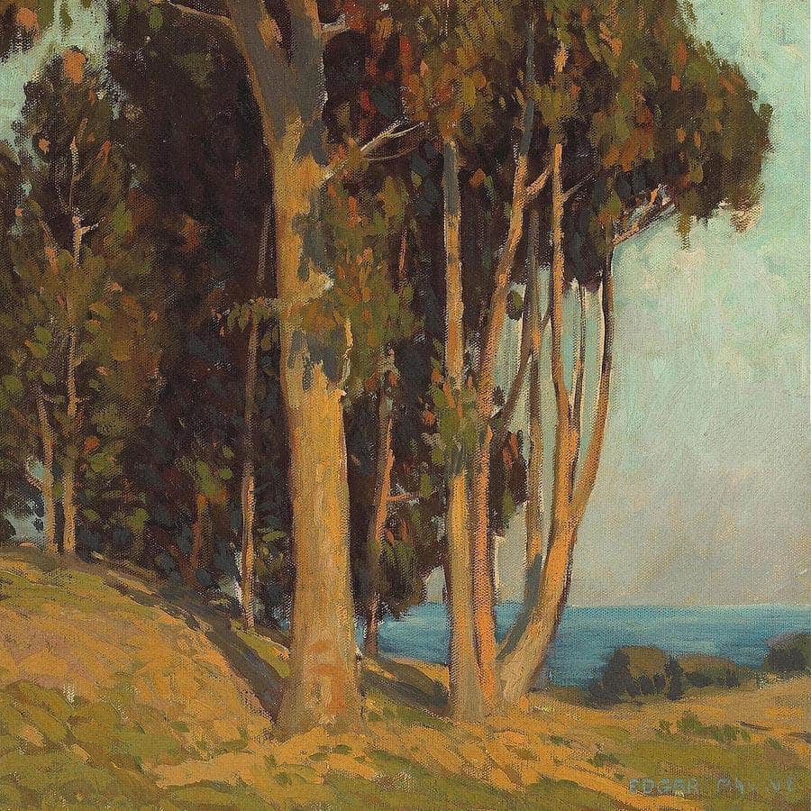 Trees Along The Coast By Edgar Payne Fine Art Print