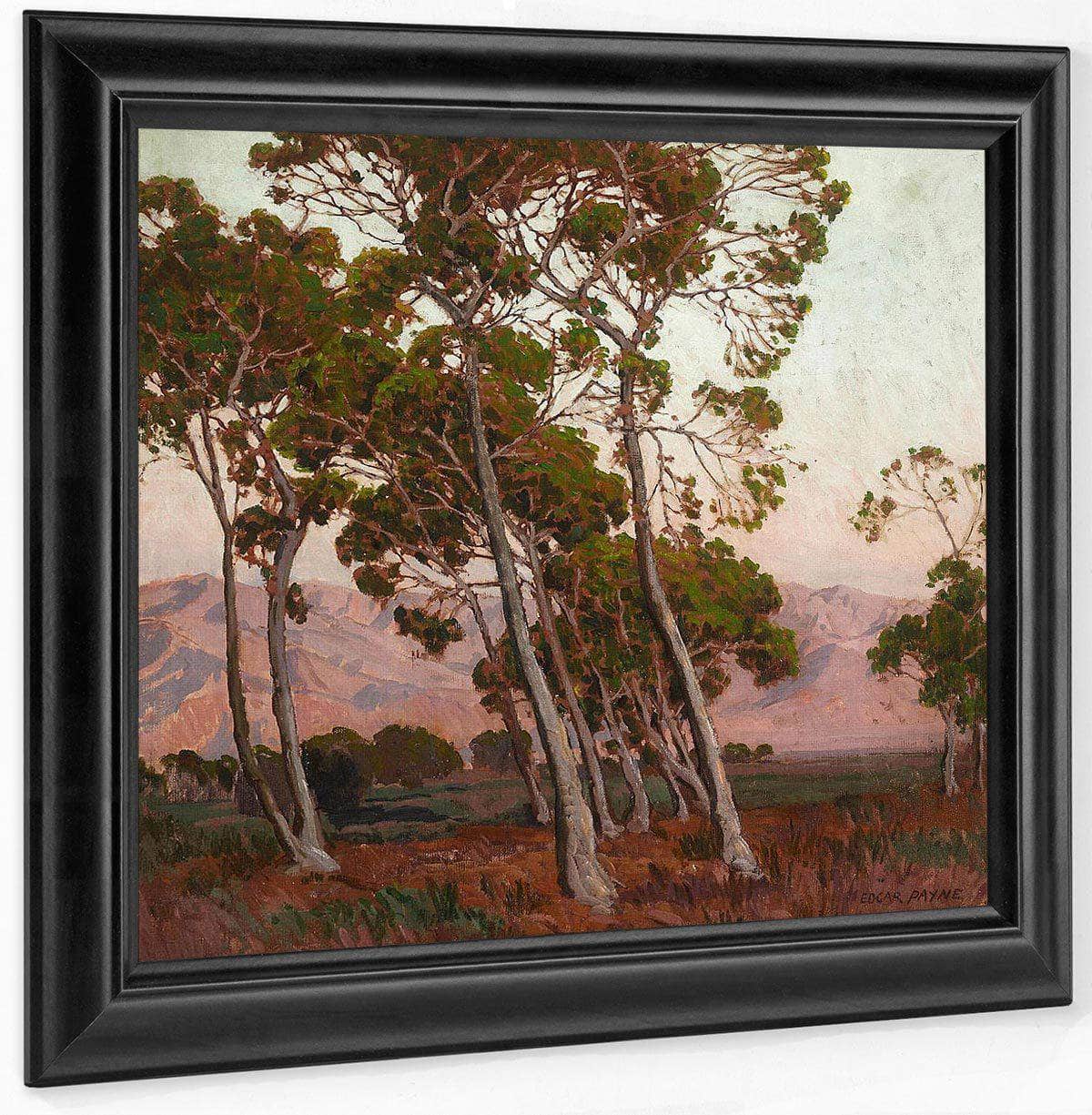 Trees Along The Foothills By Edgar Payne Fine Art Print