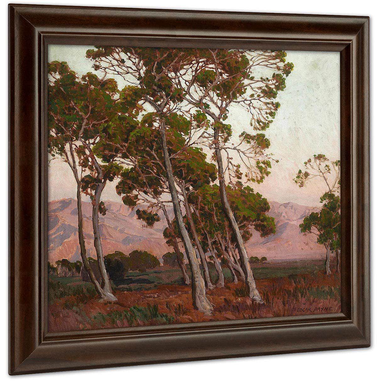 Trees Along The Foothills By Edgar Payne Fine Art Print