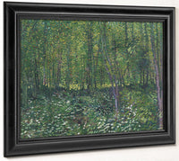 Trees And Undergrowth By Vincent Van Gogh Fine Art Print