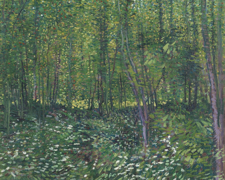 Trees And Undergrowth By Vincent Van Gogh Fine Art Print