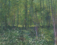 Trees And Undergrowth By Vincent Van Gogh Fine Art Print