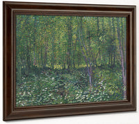 Trees And Undergrowth By Vincent Van Gogh Fine Art Print