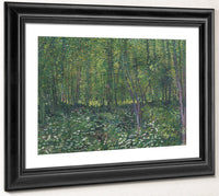 Trees And Undergrowth By Vincent Van Gogh Fine Art Print