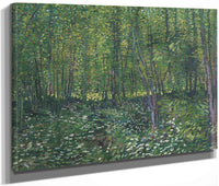 Trees And Undergrowth By Vincent Van Gogh Fine Art Print