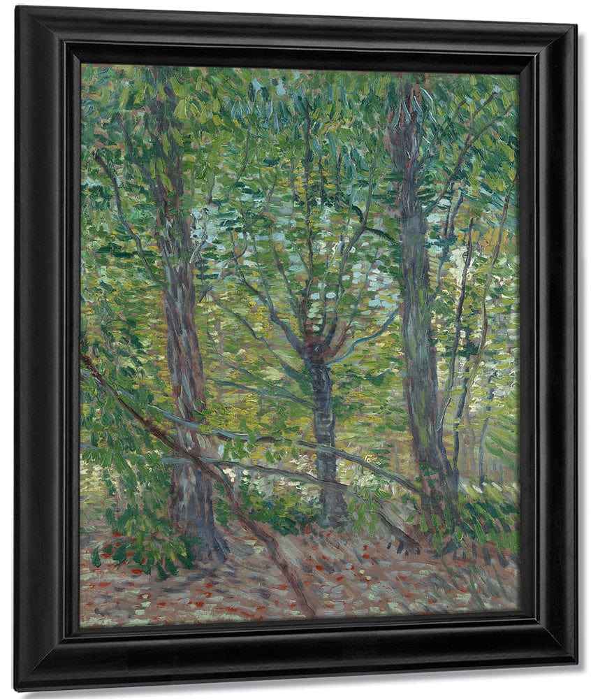 Trees By Vincent Van Gogh Fine Art Print