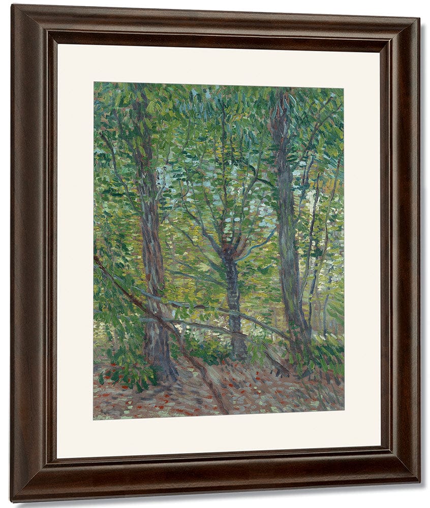 Trees By Vincent Van Gogh Fine Art Print