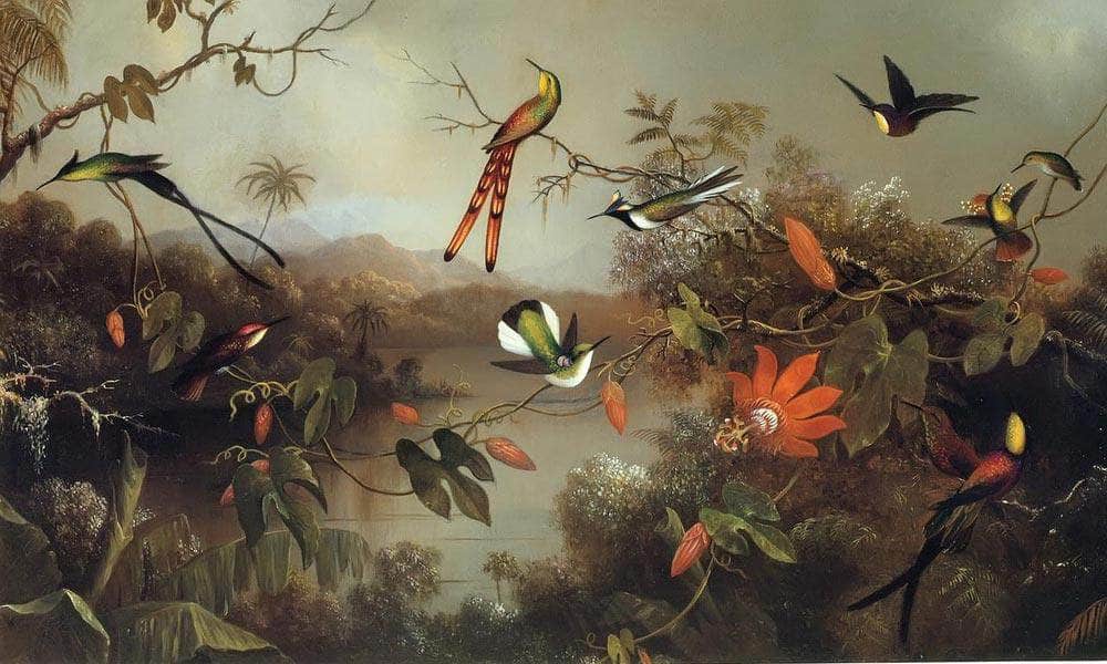 Tropical Landscape With Ten Hummingbirds By Martin Johnson Heade Fine Art Print