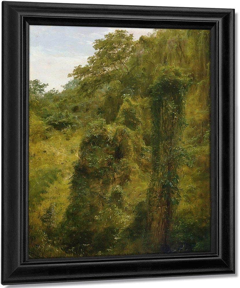 Tropical Vines And Trees Jamaica By Frederic Edwin Church Fine Art Print